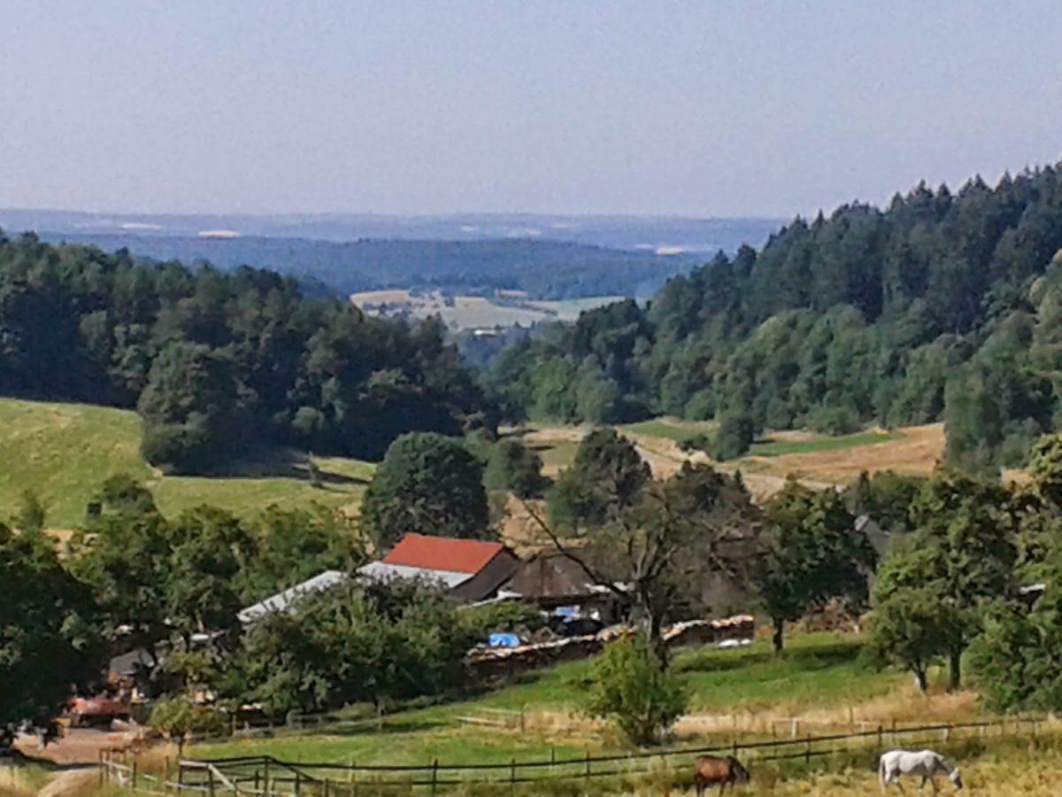 Fewo Darsberg Neckarsteinach Exteriör bild
